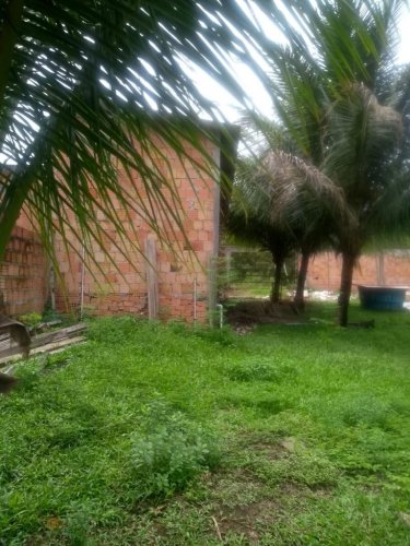 Sitio 2800m2T Comunidade Sao Sebastiao no Iranduba Km13   Com 1Casa (Suite Salao) 1Galpao (Comercial) Murado (Aconcluir Fundo) Plantacoes.
 -Classificados de Imóveis Venda Aluguel Compra Avaliação classificados de imóveis manaus aluguel imóvel classificados am